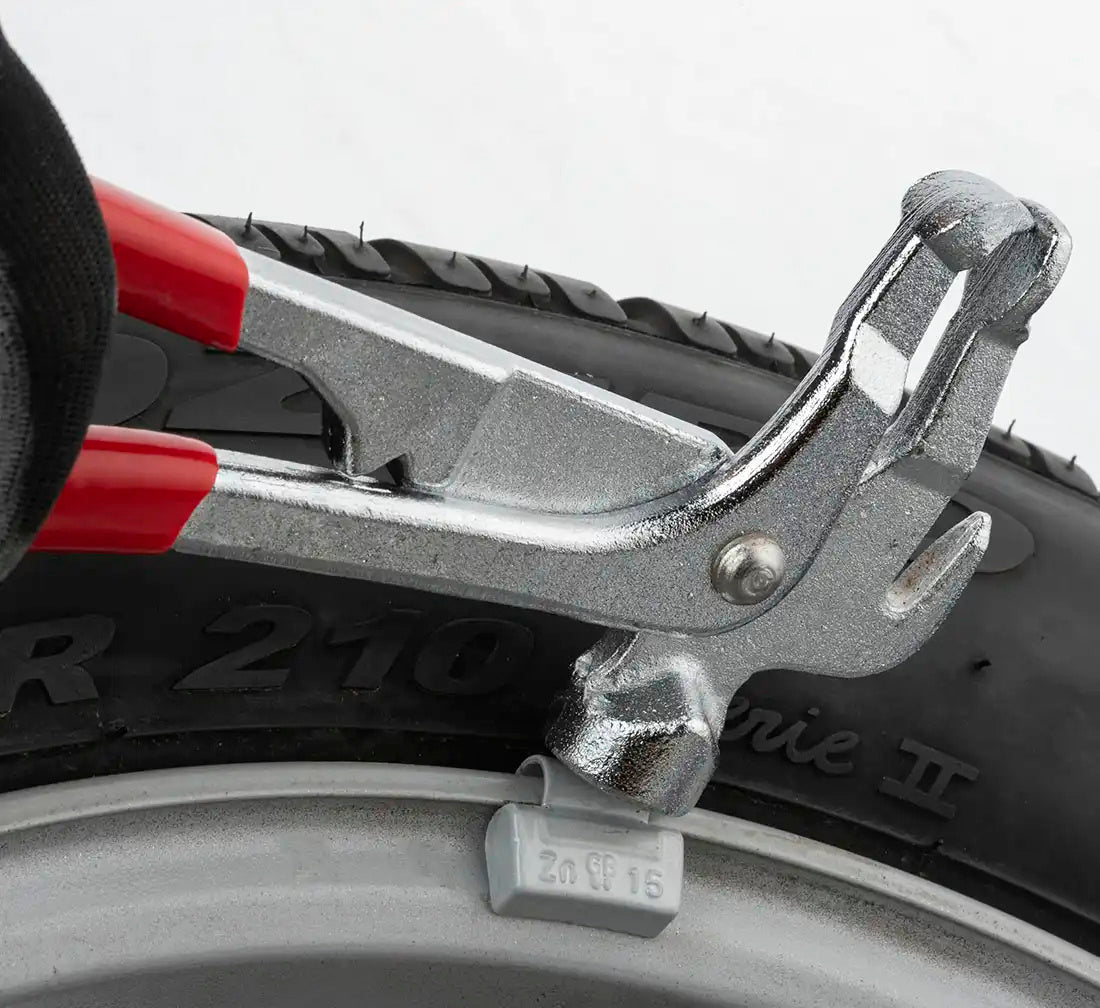 Pinza per pesi a clip standard