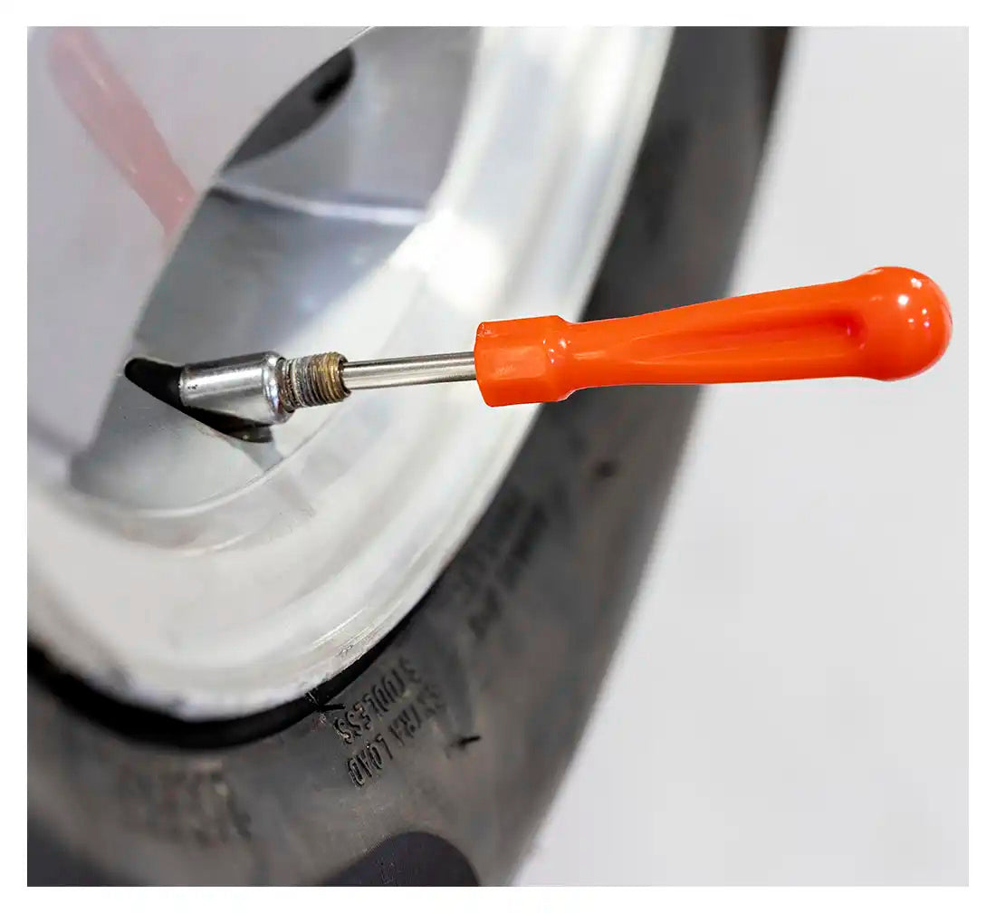 Svita Interni Valvola "Standard"