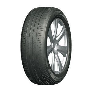 Pneumatico GOODTRIP ZO BlueGuard 205/60 15 91V