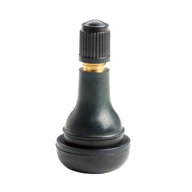 Valvola - TR415 V2.03.3 assemblato 100 Pz. - GFL Pneus